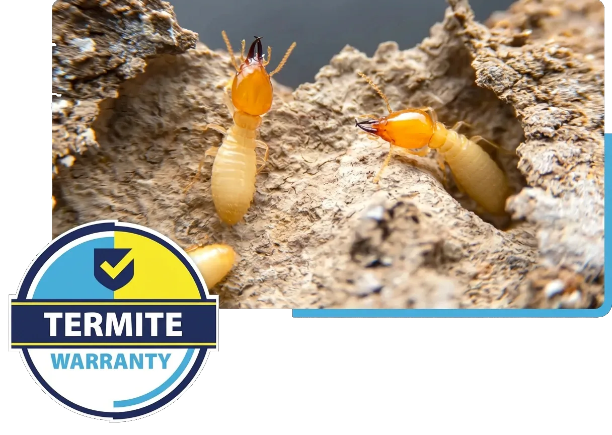 Termite Warranty badge