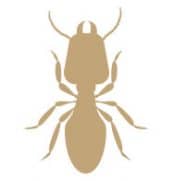 Janssen Pest Solutions, Termite Control, Des Moines, IA