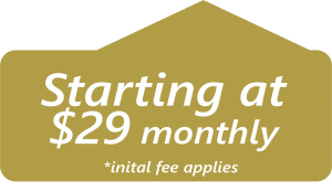 Starting at $29 per month